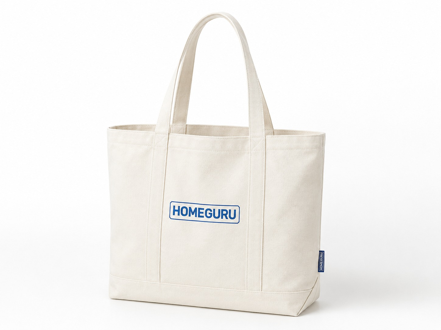 HomeGuru Carry Bag